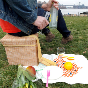 Kikkerland Wicker Picnic Cooler Seat