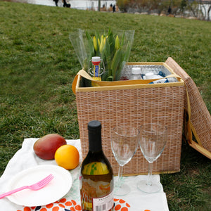 Kikkerland Wicker Picnic Cooler Seat