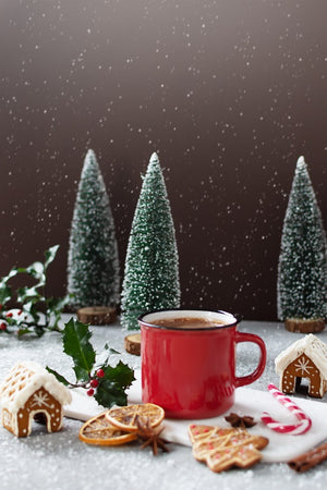 Gourmet Village Hot Chocolate Drink Mix, Merry ChrisMoose