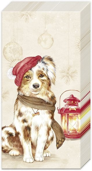 IHR Pocket Tissue, 'Jack' Santa Dog