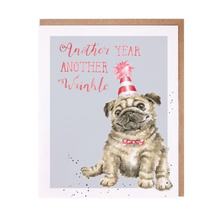 Wrendale Designs Greeting Card, Birthday 'Another Wrinkle' Pug Dog