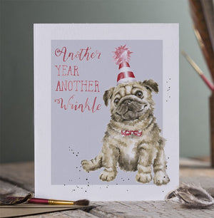 Wrendale Designs Greeting Card, Birthday 'Another Wrinkle' Pug Dog